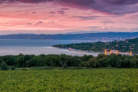 Slovinsko  Apartmány Adria (Ankaran) 8 dňový pobyt Bez stravy Vlastná July 2026 (25/07/26-22/05/26)