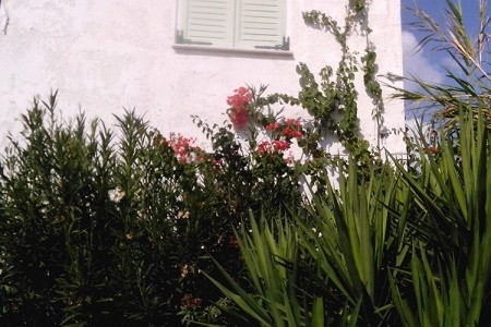 Haris Apts Hotel - 23