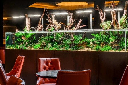 Maďarsko Severné Maďarsko Minaro Hotel Tokaj Mgallery 3 dňový pobyt Raňajky Vlastná August 2026 (30/08/26- 1/09/26)