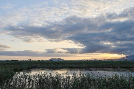 Španielsko Mallorca Iberostar Selection Albufera Park 15 dňový pobyt All Inclusive Letecky Letisko: Praha September 2026 (12/09/26-26/09/26)