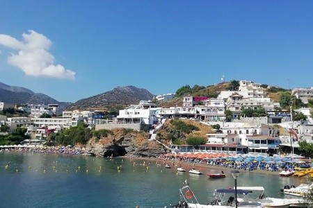 Studia Eleftheria - 4