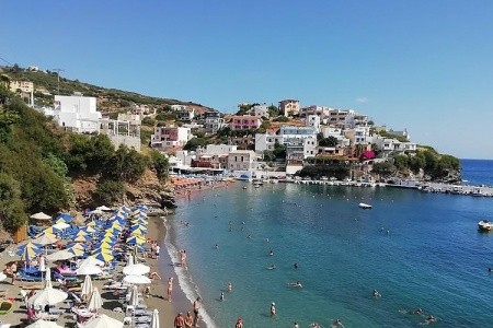 Studia Eleftheria - 6