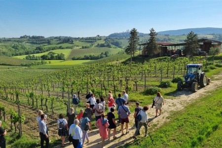 To nejlepší z Toskánska s degustací toskánských vín - 35