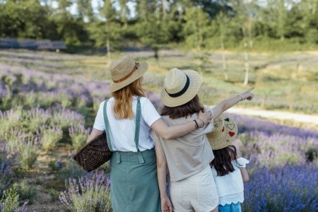 Provence S Rodinou: Pohádkový Roadtrip Plný Zábavy A Objevů