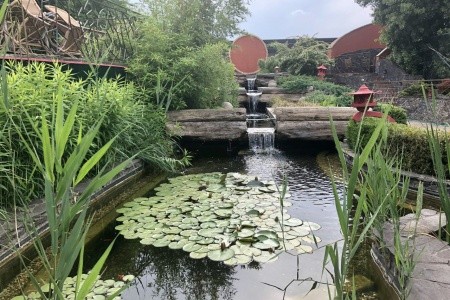 Therma Naturmed & Conference - 34