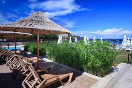 Cactus Fleur Beach - 38