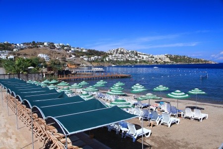 Cactus Fleur Beach - 40