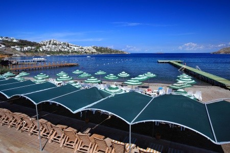 Cactus Fleur Beach - 41