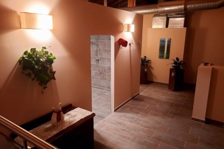 Wohlfühlgasthof Friedlwirt - 8