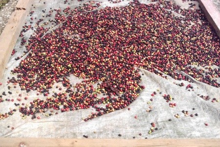 Nikaragua - Kostarika - Panama - 14