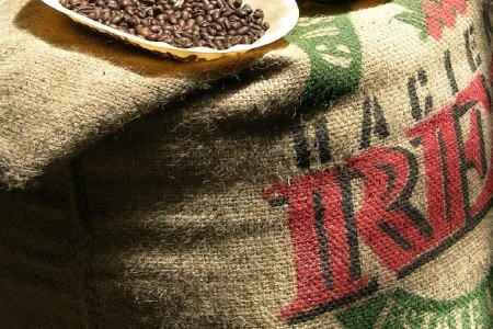 Nikaragua - Kostarika - Panama - 15