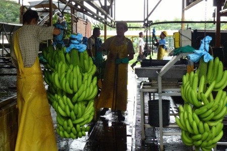 Nikaragua - Kostarika - Panama - 17