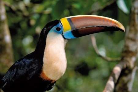 Nikaragua - Kostarika - Panama - 21