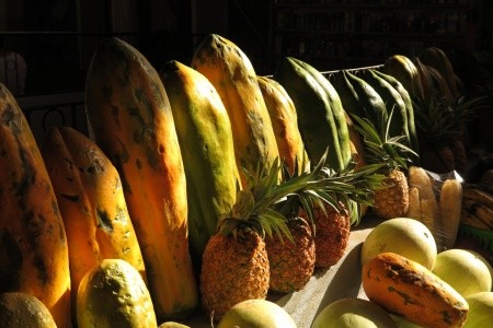 Nikaragua - Kostarika - Panama - 41