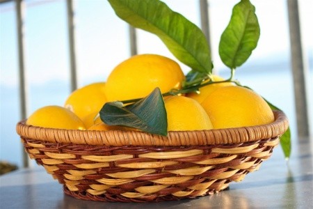 Apartmány Zoran - 22