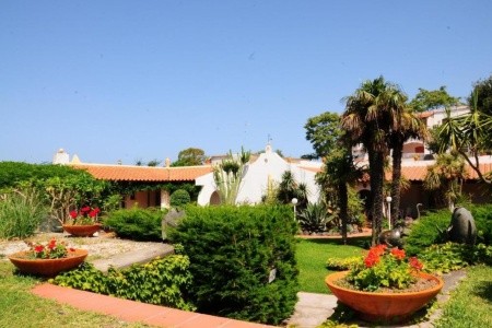 Bel Sole	(Ex. Corona) - 6