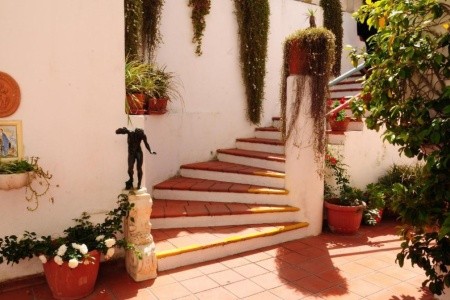 Bel Sole	(Ex. Corona) - 11