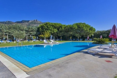 Bel Sole	(Ex. Corona) - 13