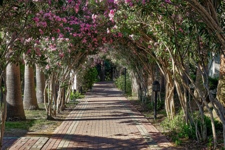 Turecko Turecká riviéra Seaden Sea World Resort & Spa 7 dňový pobyt All Inclusive Letecky Letisko: Praha September 2026 (24/09/26-30/09/26)