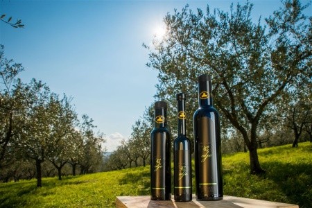 Slovinsko Slovinské pobřeží Belvedere 6 dňový pobyt Raňajky Vlastná October 2025 ( 8/10/25-13/10/25)