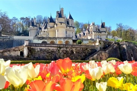 Zámky na Loiře - za Johankou z Arku i Leonardem da Vinci - letecky - 7