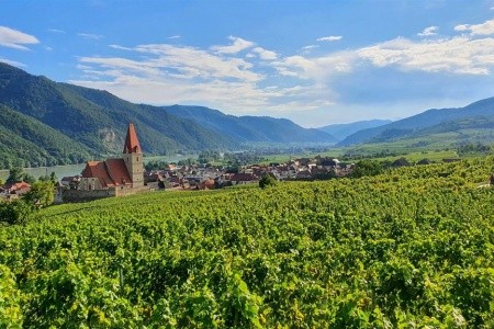 RAKOUSKO - TULLNSKÝ ZAHRADNICKÝ VELETRH, KITTENBERSKÉ ZAHRADY A ROMANTIKA WACHAU