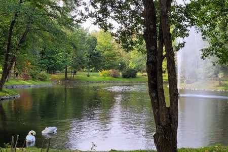 Parkhotel Neustadt (Neustadt In Sachsen) - 16