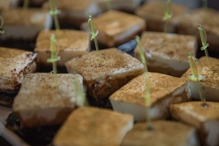 Green Bay Resort & Spa - 27