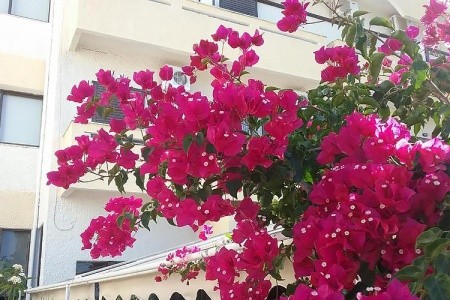 Řecko, Kréta, Esperides, za <span>27.490</span> Kč