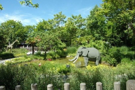 Německý Legoland A Norimberská Zoo S Delfináriem - 6
