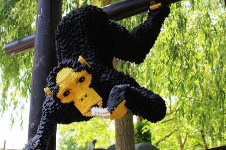 Německý Legoland A Norimberská Zoo S Delfináriem - 8