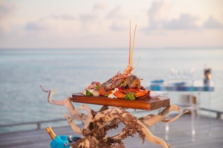 Maldivy Lhaviyani Atol Cocoon Maldives 9 dňový pobyt All Inclusive Letecky Letisko: Viedeň December 2026 ( 4/12/26-12/12/26)