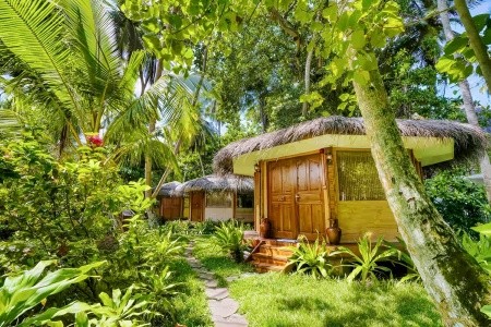 Maldivy Južný Atol Male Fihalhohi Island Resort 11 dňový pobyt Plná penzia Letecky Letisko: Viedeň February 2026 (23/02/26- 5/03/26)