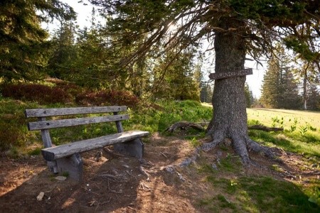 Natura (Rogla)