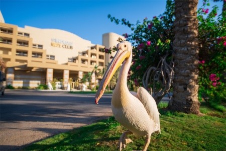 Sindbad Club (Ex.sindbad Aqua Resort) - 2