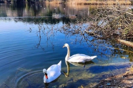 Barbara Piran Beach & Spa - 34