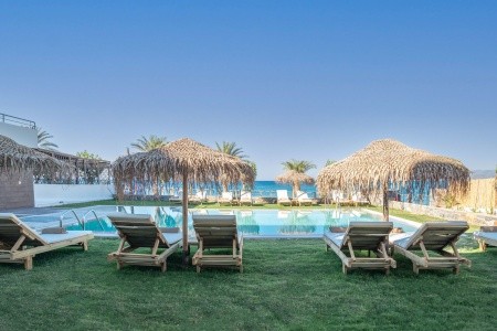 Golden Bee Lifestyle - 25