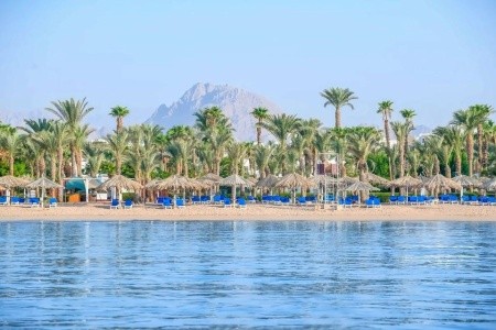 Jaz Sharm Dreams - 5