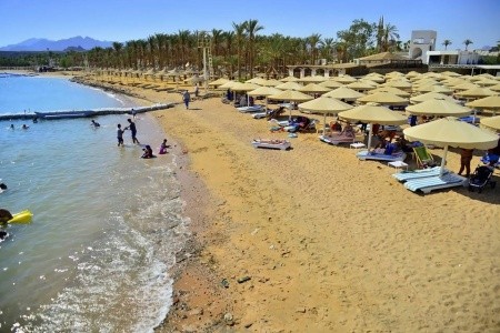 Egypt Sharm El Sheikh Il Mercato 8 dňový pobyt All Inclusive Letecky Letisko: Praha December 2025 (13/12/25-20/12/25)