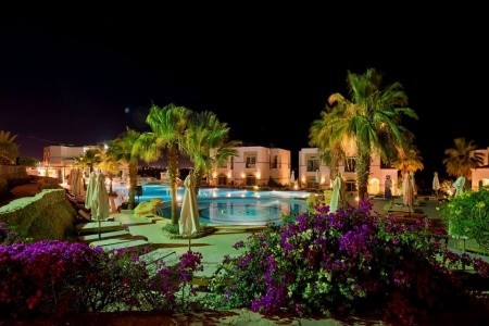 Egypt Sharm El Sheikh Amphoras Blu (Ex.