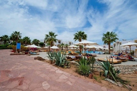 Egypt Sharm El Sheikh Amphoras Blu (Ex.