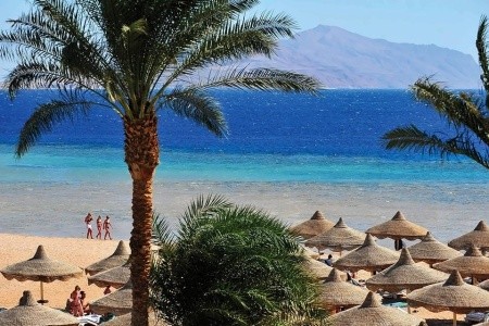 Baron Palms Resort - 20