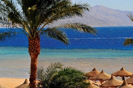 Baron Palms Resort - 22