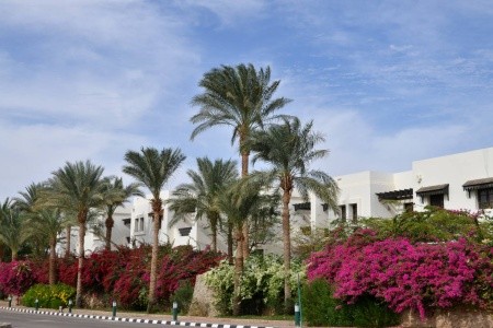 Sharm Resort - 30
