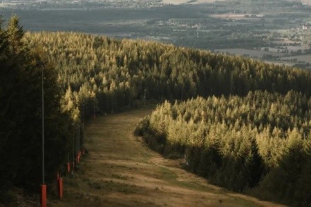 Forest Park Resort & Spa - 7