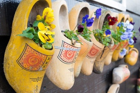 5-dňový zájazd do Holandska s návštevou kvetinovej výstavy - 9