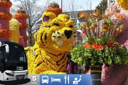 Zájazd do Holandska s návštevou korza Bloemen Corso
