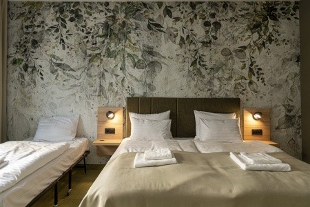 Slovensko Južné Slovensko Thermal Hotel Campino 8 dňový pobyt Polpenzia Vlastná November 2025 (14/11/25-21/11/25)