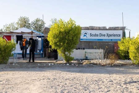 Bliss Nada Beach Resort  (Ex. Jolie Beach Resort Marsa Alam) - 19