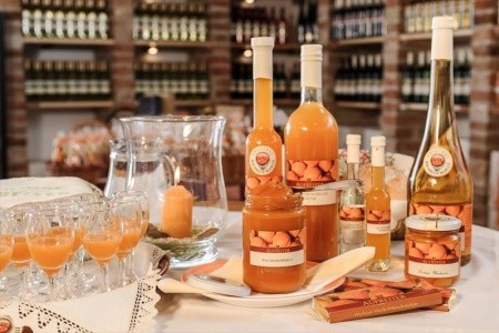 Perly Dolního Rakouska  s plavbou lodí po Dunaji - 12